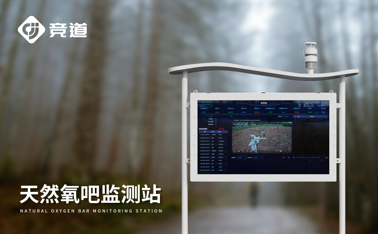 提供空气负氧离子监测站哪家专业