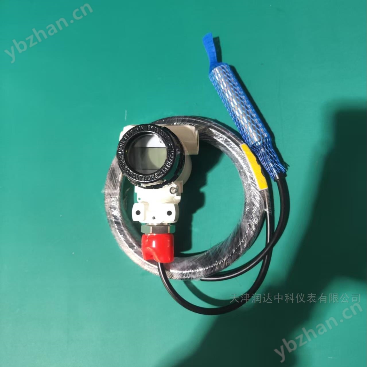 化工储罐投入式液位计 耐高温高压