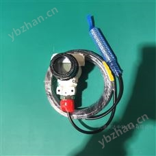 TRD601A02/DN50化工储罐投入式液位计 耐高温高压