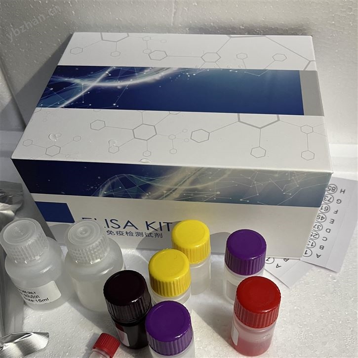 豚鼠一氧化氮elisa检测试剂盒品牌