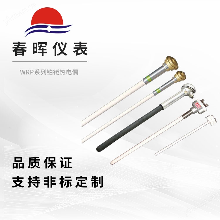 WRP系列铂铑热电偶