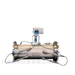 GE Sentinel LNG超声波 低温液体流量计