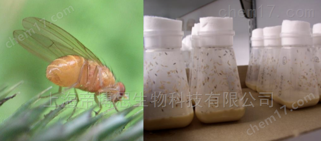 分液裝置